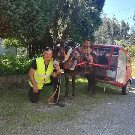 بيت شباب O Bordon *