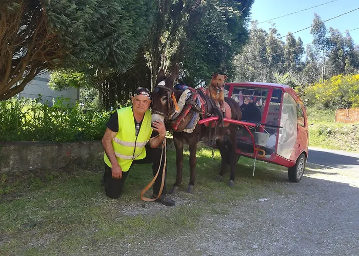 Хостел O Bordon *